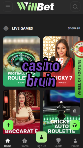 Casino Bruin - Best Bear-Themed Casino Games-www.bdqngd.com
